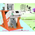 Popular,best quality and service,twelve years experience,frozen food color sorter with 2048 pixel camera